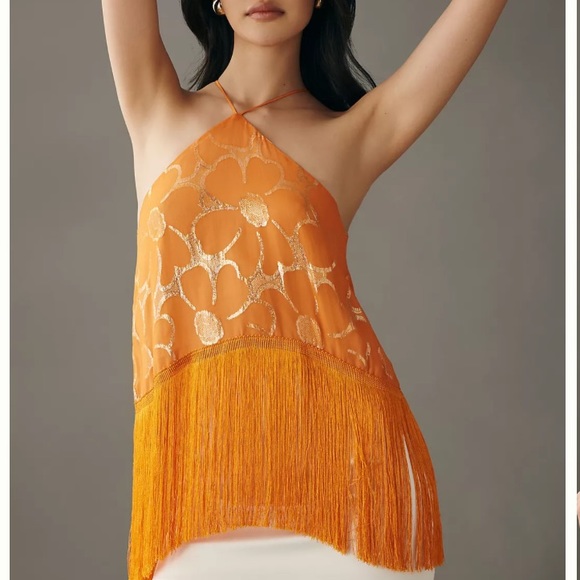 Anthropologie Tops - Delfi Collective Pati Fringe Halter Tank from Anthropologie